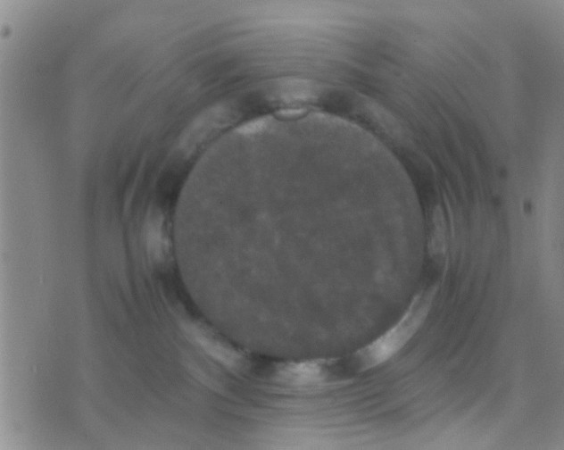 X0000070250140200606232017