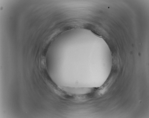 X0000070250141200606232017