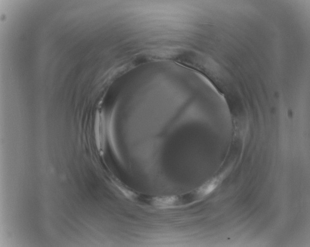 X0000070250143200606232017