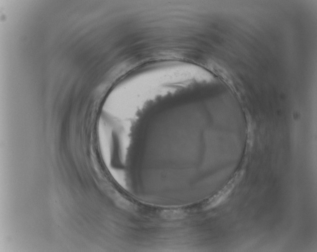 X0000070250145200606232016