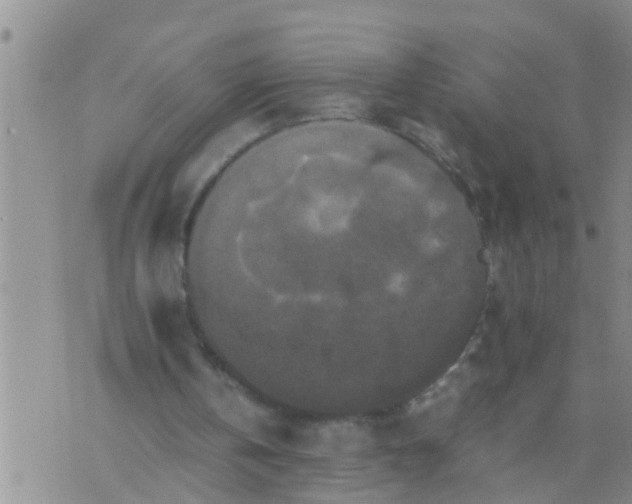 X0000070250146200606232016