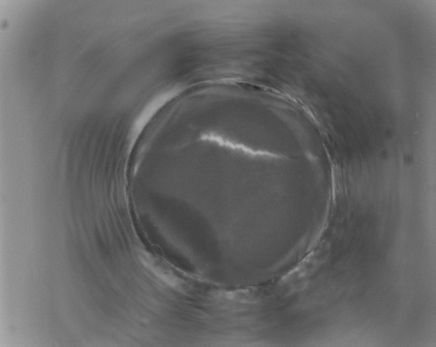 X0000070250147200606232016