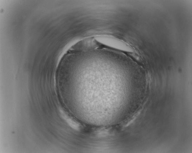 X0000070250148200606232016