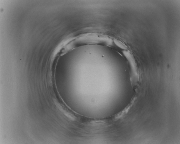 X0000070250150200606232016