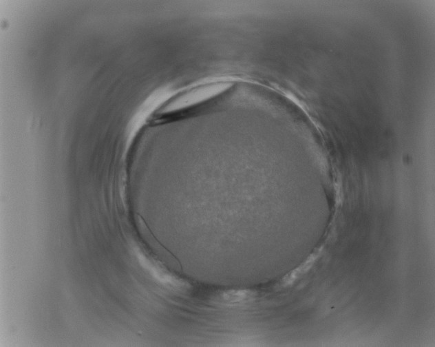 X0000070250152200606232016