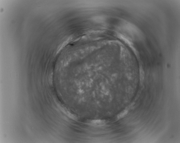 X0000070250153200606232016