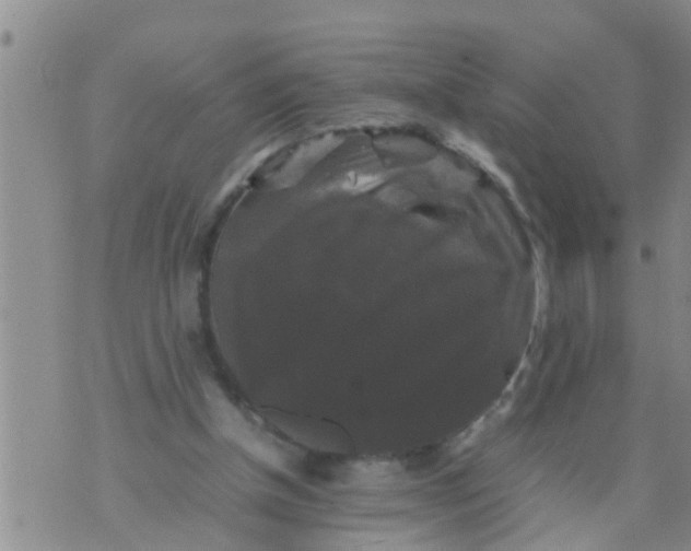 X0000070250154200606232016