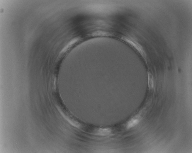 X0000070250157200606232016