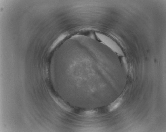 X0000070250158200606232016