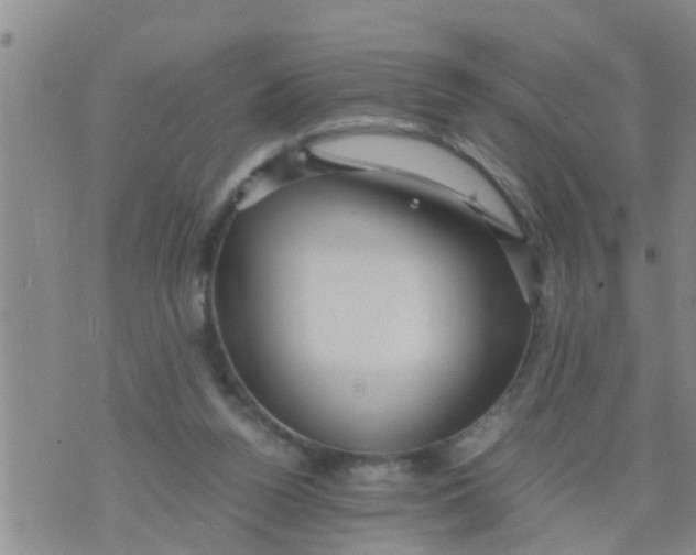 X0000070250160200606232016