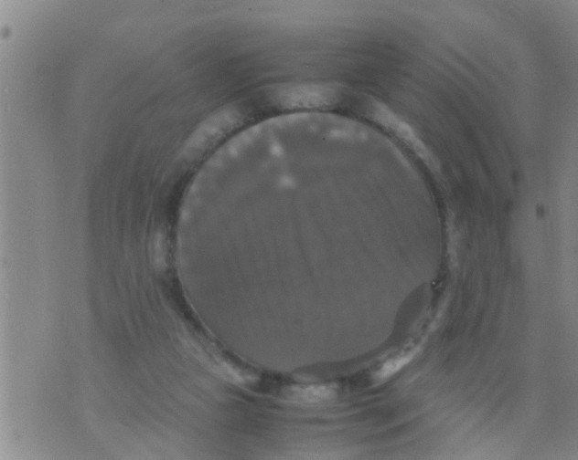 X0000070250161200606232016