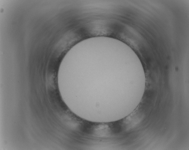 X0000070250162200606232016