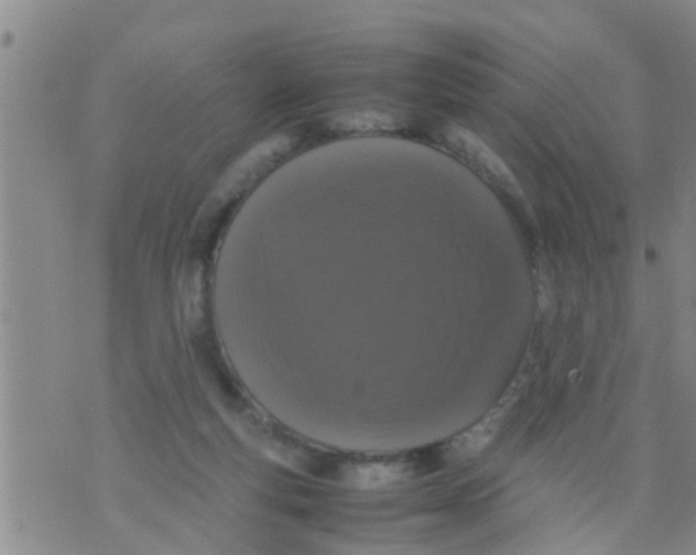 X0000070250163200606232016