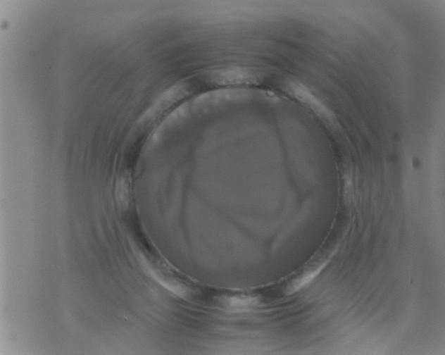 X0000070250165200606232017