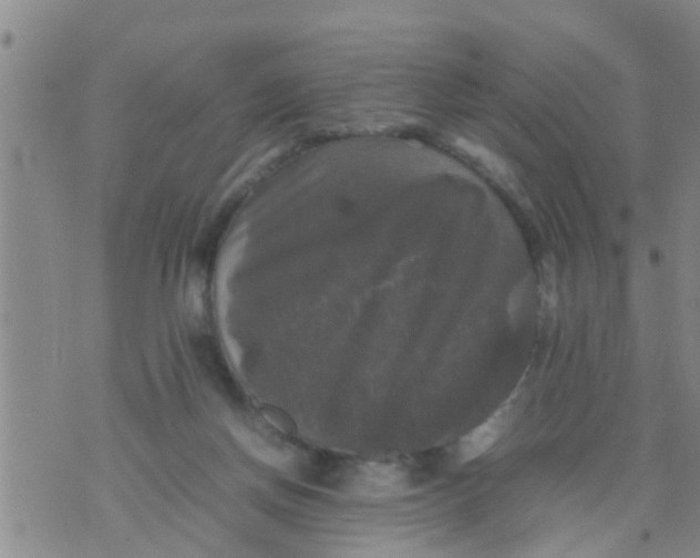 X0000070250166200606232017