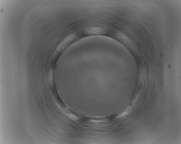 X0000070250167200606232017