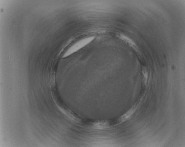 X0000070250168200606232017