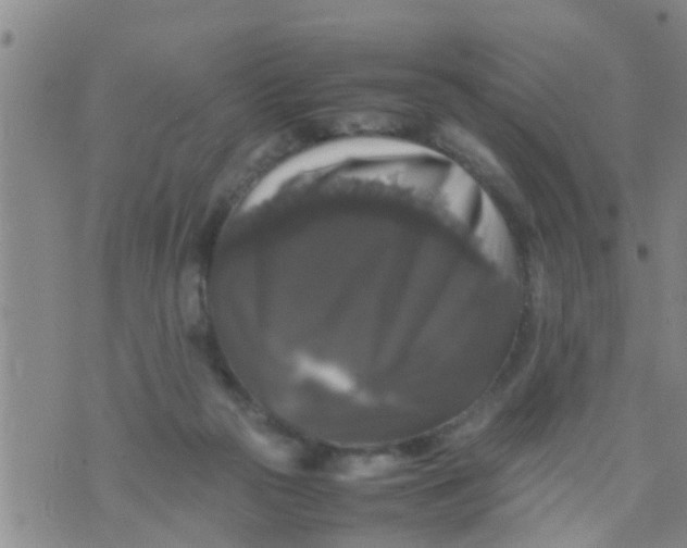 X0000070250169200606232017