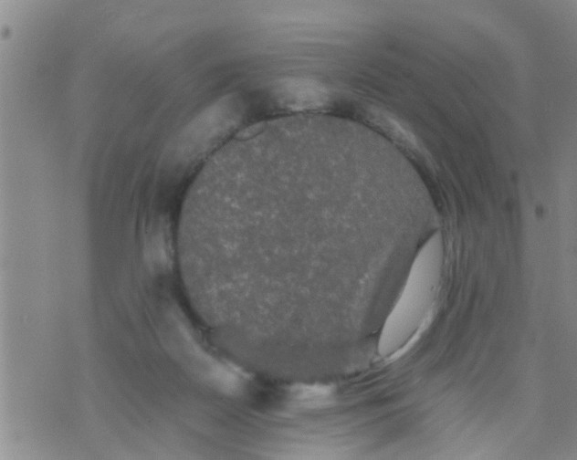 X0000070250170200606232017