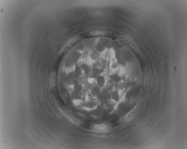 X0000070250171200606232017