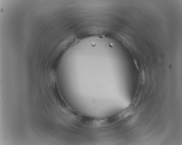 X0000070250172200606232017