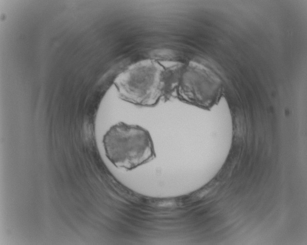 X0000070250173200606232017