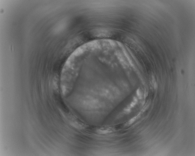 X0000070250175200606232017