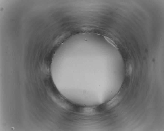 X0000070250176200606232017