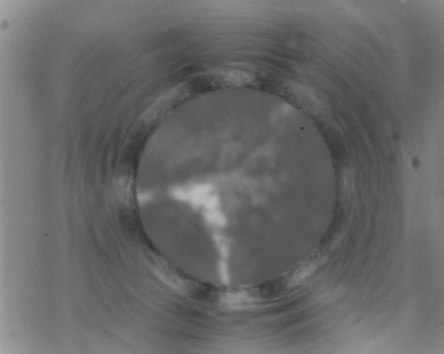 X0000070250177200606232017