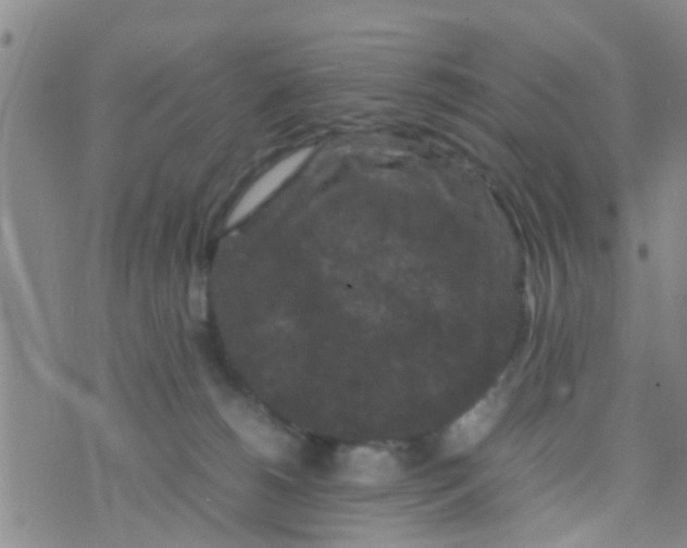 X0000070250180200606232017