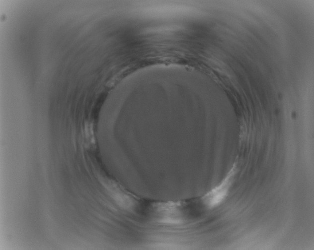 X0000070250182200606232017