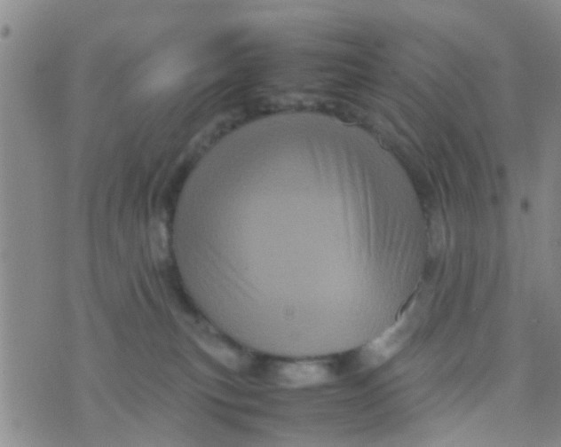 X0000070250183200606232017