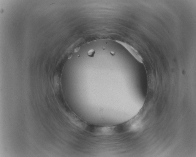 X0000070250184200606232017