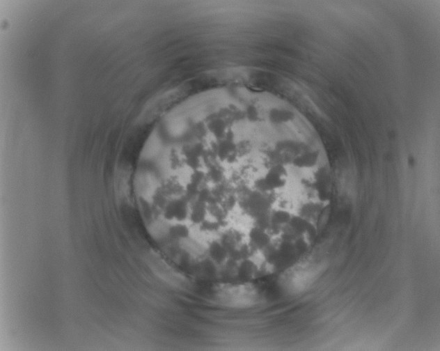 X0000070250185200606232017