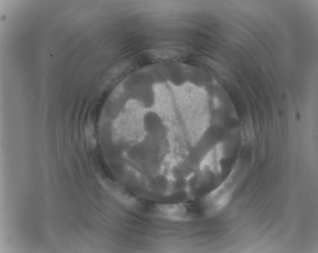 X0000070250187200606232017