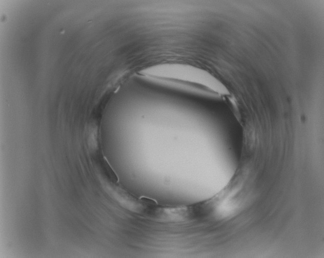 X0000070250188200606232017