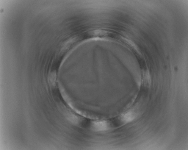 X0000070250189200606232017