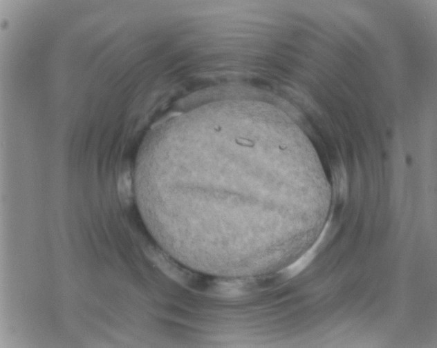 X0000070250190200606232017