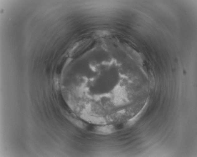 X0000070250191200606232017