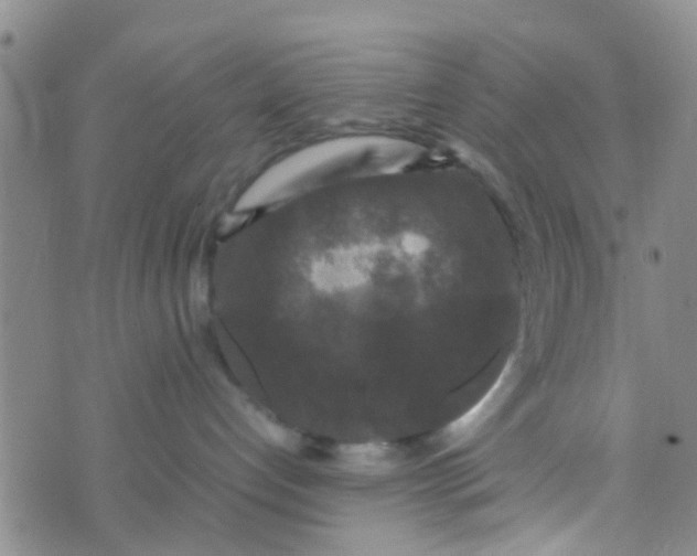 X0000070250192200606232017