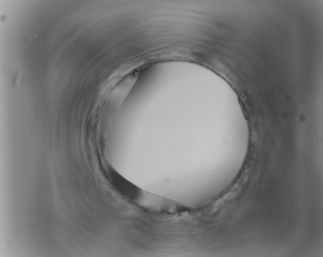 X0000070250193200606232016