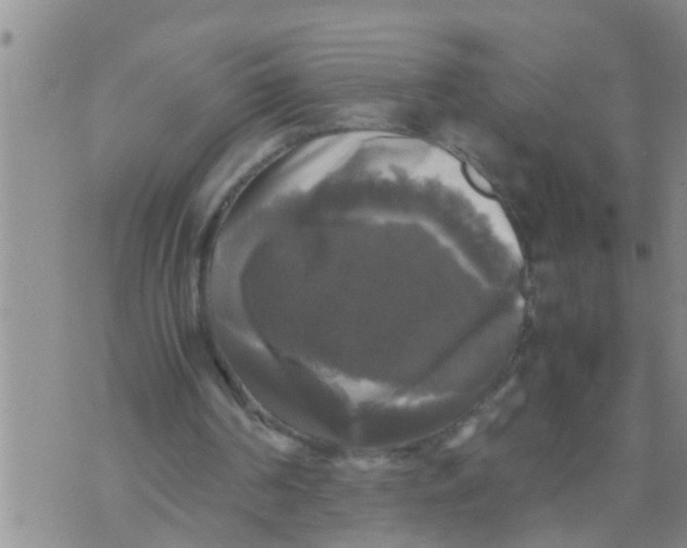 X0000070250194200606232016