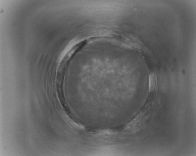 X0000070250195200606232016