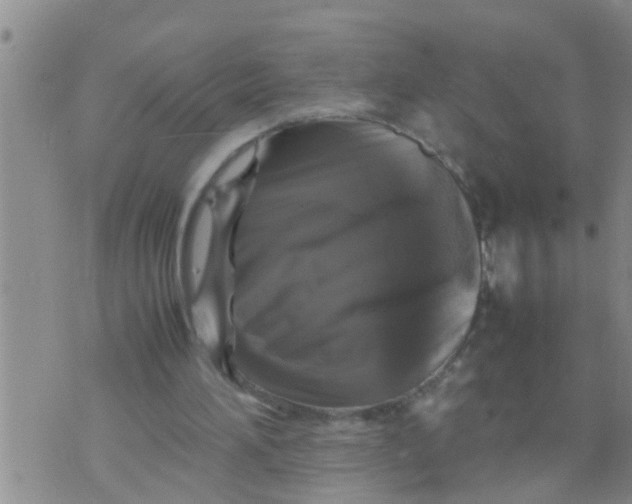 X0000070250196200606232016