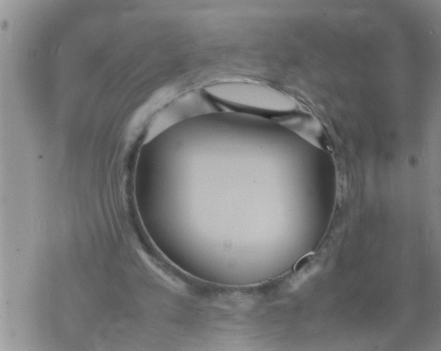 X0000070250197200606232016