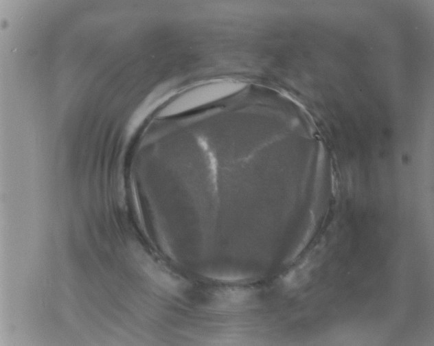 X0000070250198200606232016