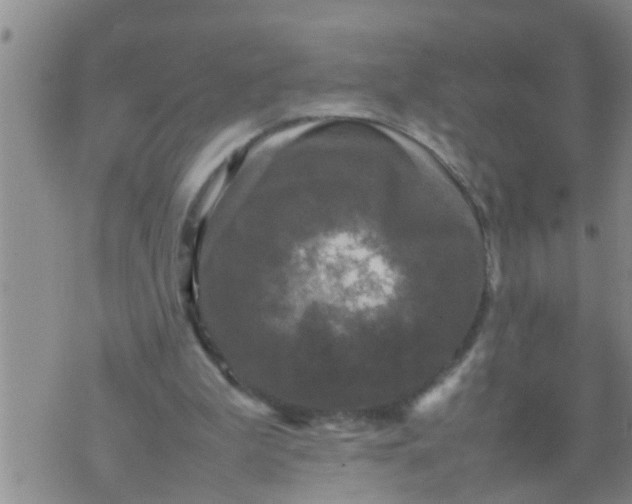 X0000070250199200606232016