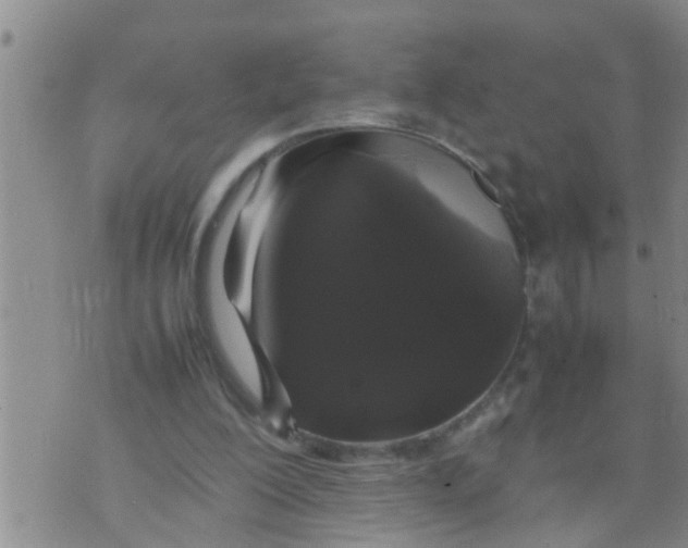 X0000070250200200606232016