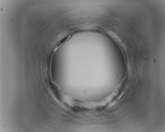 X0000070250201200606232016