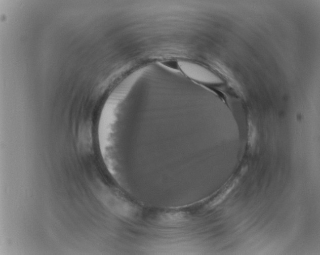 X0000070250202200606232016